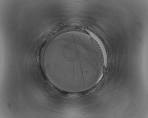 X0000113050520200910081234