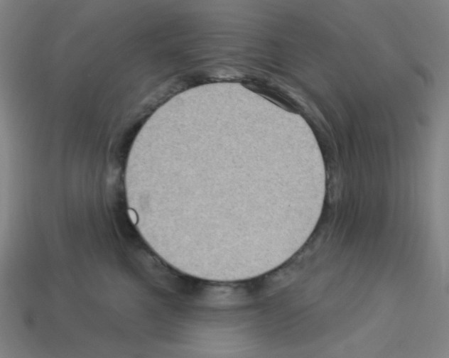 X0000113050521200910081234