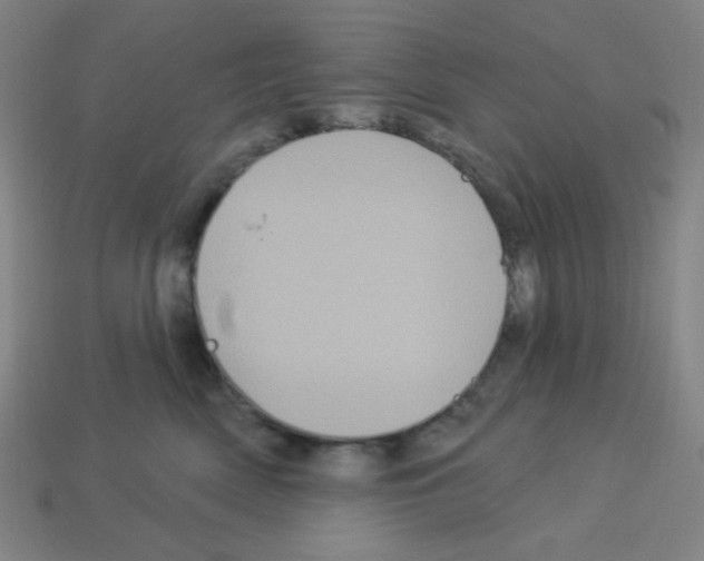 X0000113050522200910081234