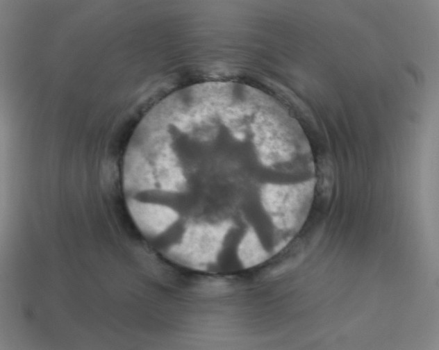 X0000113050523200910081234