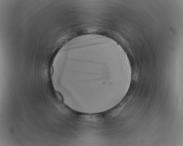 X0000113050524200910081234