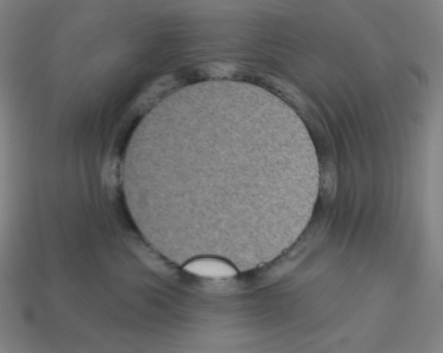 X0000113050525200910081234