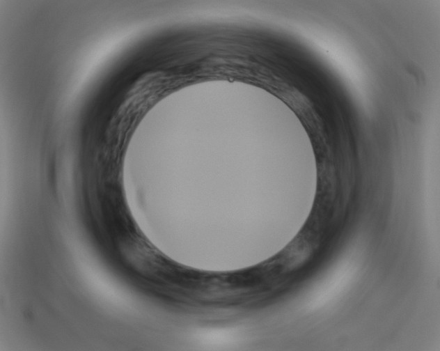 X0000113050526200910081234