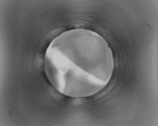 X0000113050527200910081234