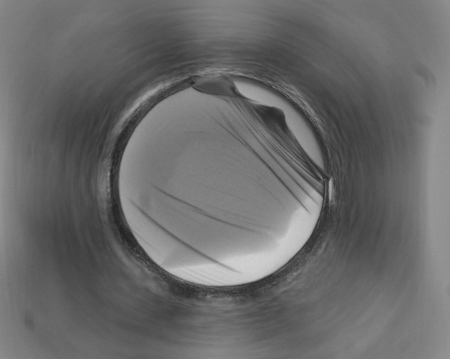 X0000113050531200910081233