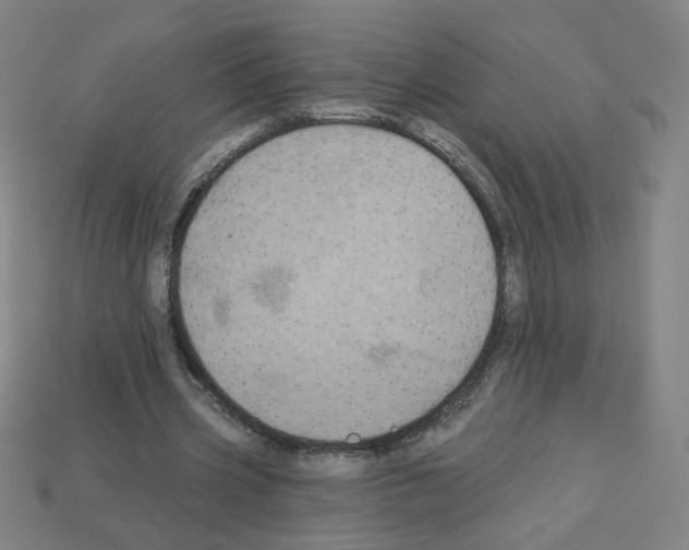 X0000113050533200910081233