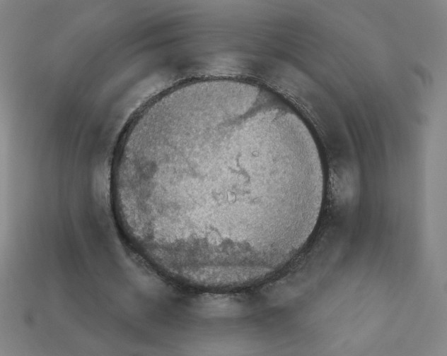 X0000113050534200910081233