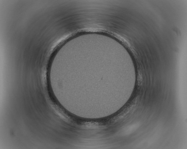 X0000113050535200910081233