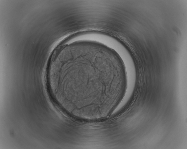 X0000113050536200910081233