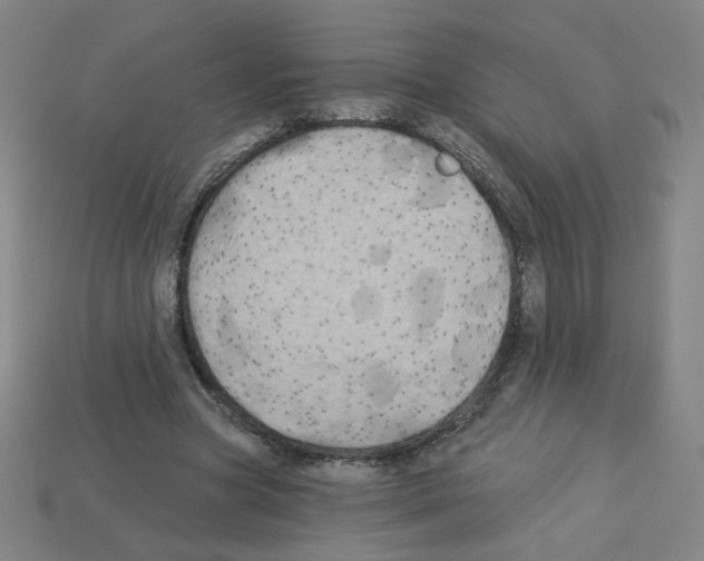 X0000113050537200910081233