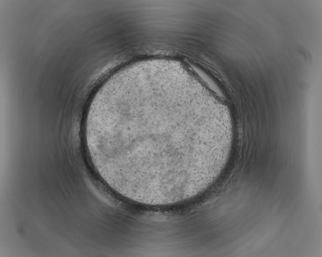 X0000113050538200910081233