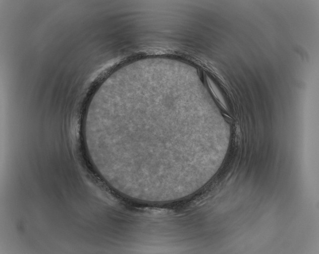 X0000113050539200910081233