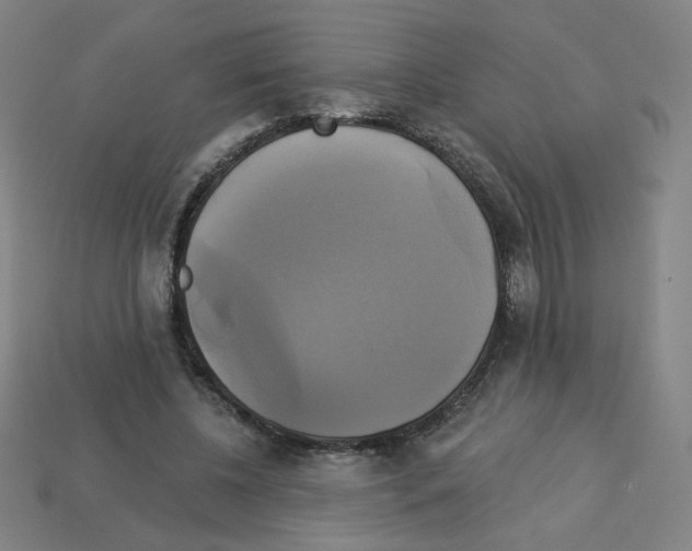 X0000113050540200910081233