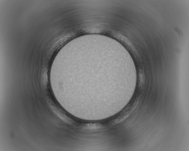 X0000113050541200910081233