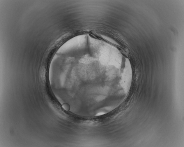 X0000113050542200910081233