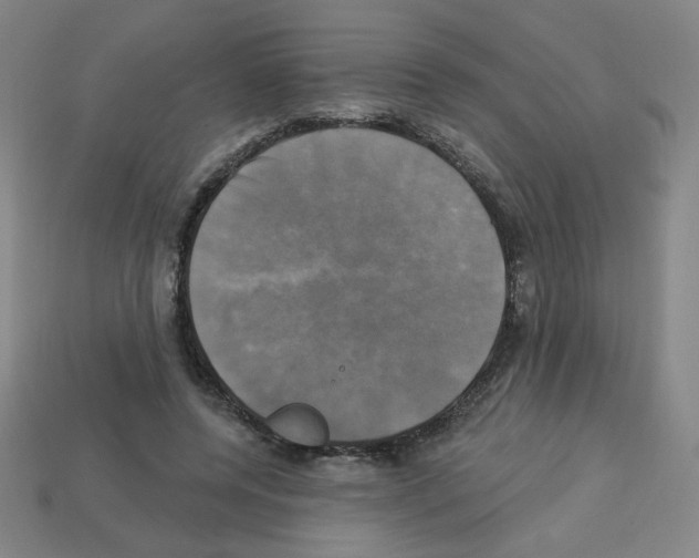 X0000113050544200910081233