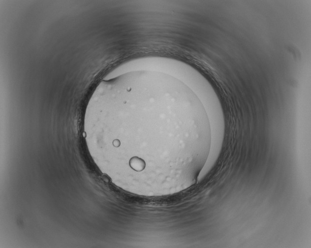 X0000113050546200910081233