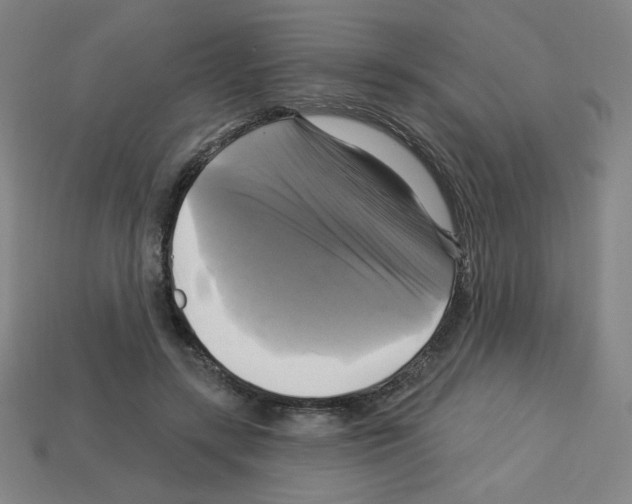 X0000113050547200910081233