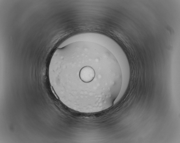 X0000113050548200910081233
