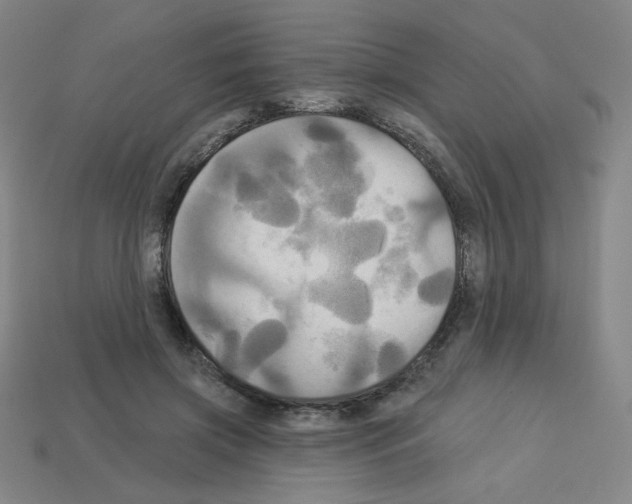 X0000113050549200910081233
