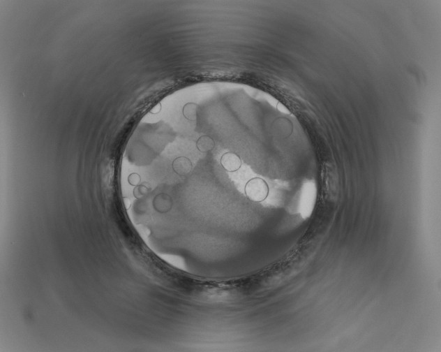 X0000113050550200910081233