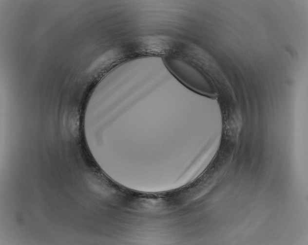 X0000113050552200910081234
