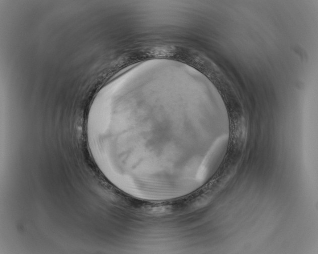 X0000113050553200910081234