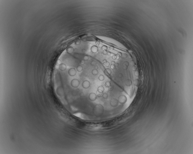 X0000113050554200910081234
