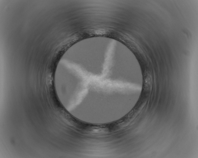 X0000113050555200910081234