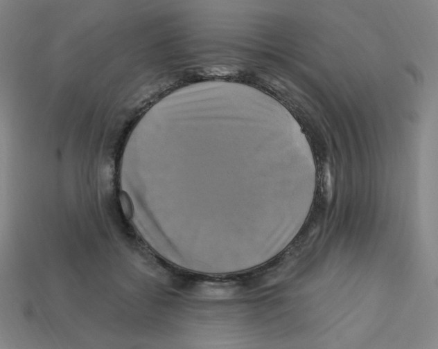 X0000113050556200910081234