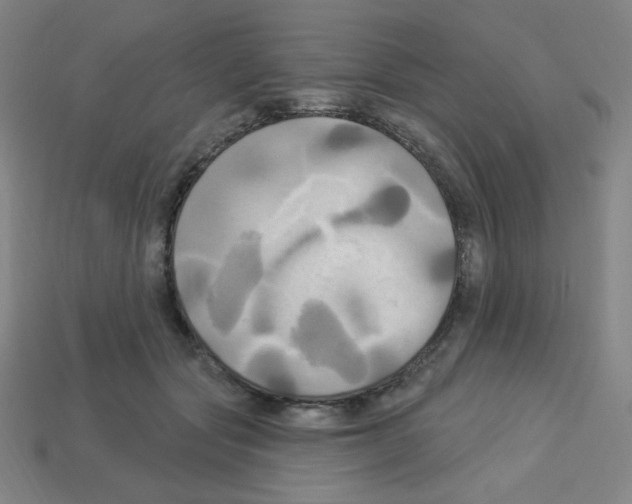 X0000113050557200910081234