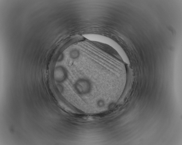 X0000113050558200910081234