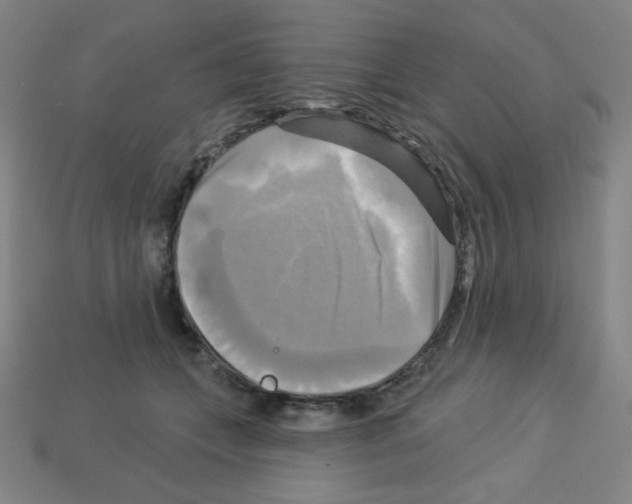 X0000113050559200910081234