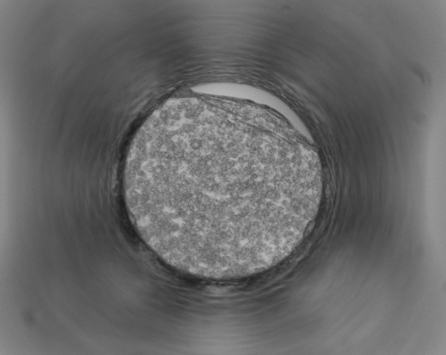 X0000113050560200910081234