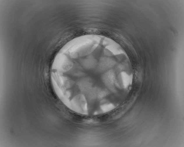 X0000113050561200910081234