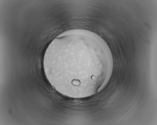 X0000113050562200910081234