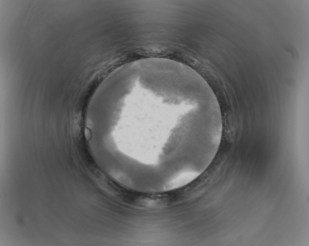 X0000113050563200910081234