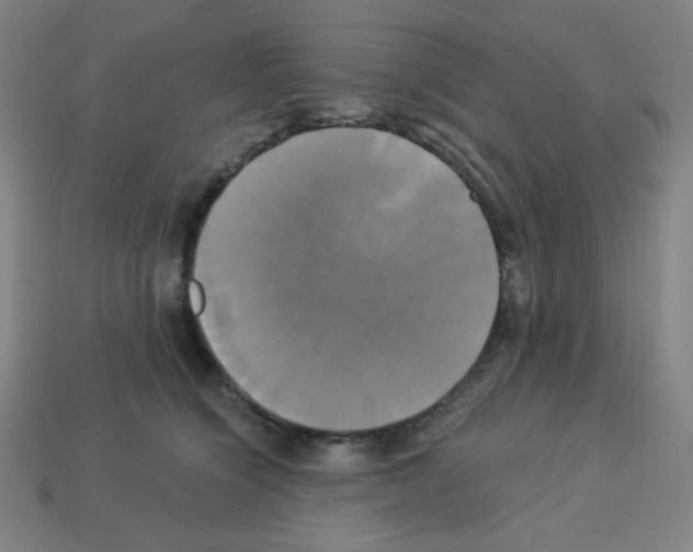 X0000113050564200910081234