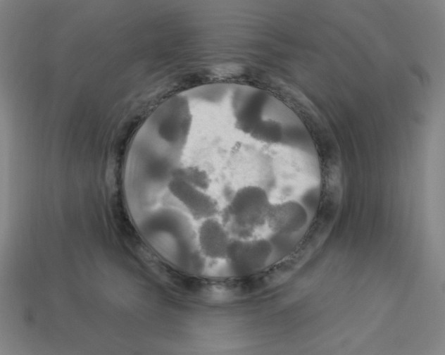 X0000113050565200910081234