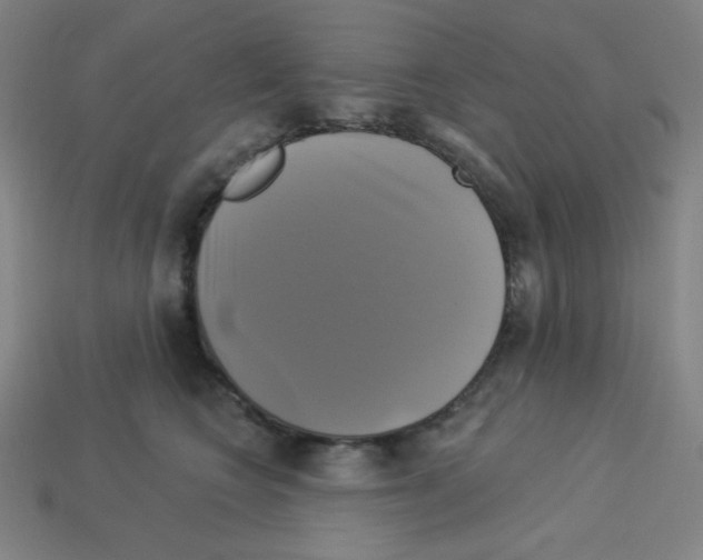 X0000113050566200910081234