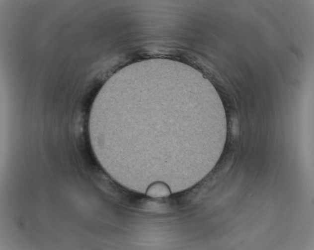 X0000113050567200910081234