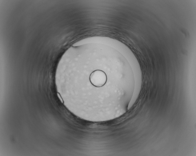 X0000113050568200910081234