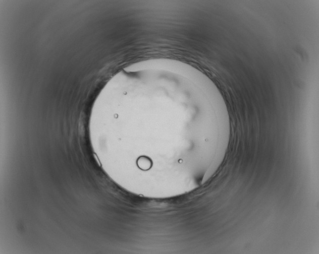 X0000113050570200910081234