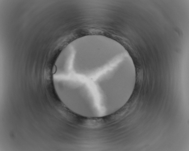 X0000113050571200910081234