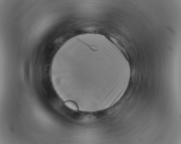 X0000113050572200910081234