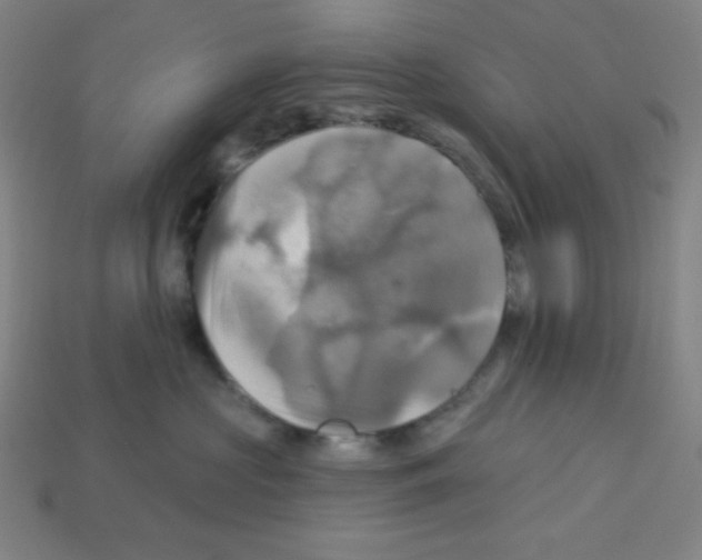 X0000113050573200910081234