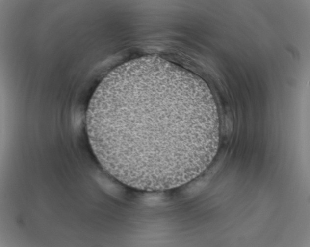 X0000113050574200910081234