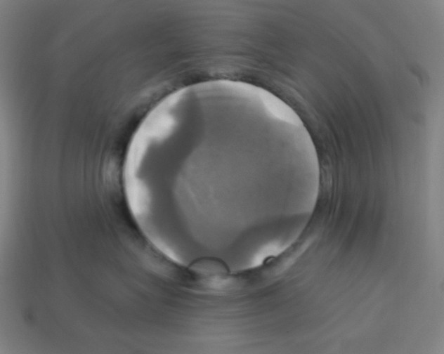 X0000113050575200910081234
