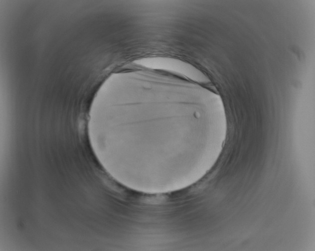 X0000113050576200910081234