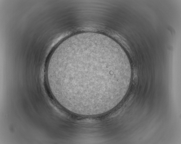 X0000113050578200910081233